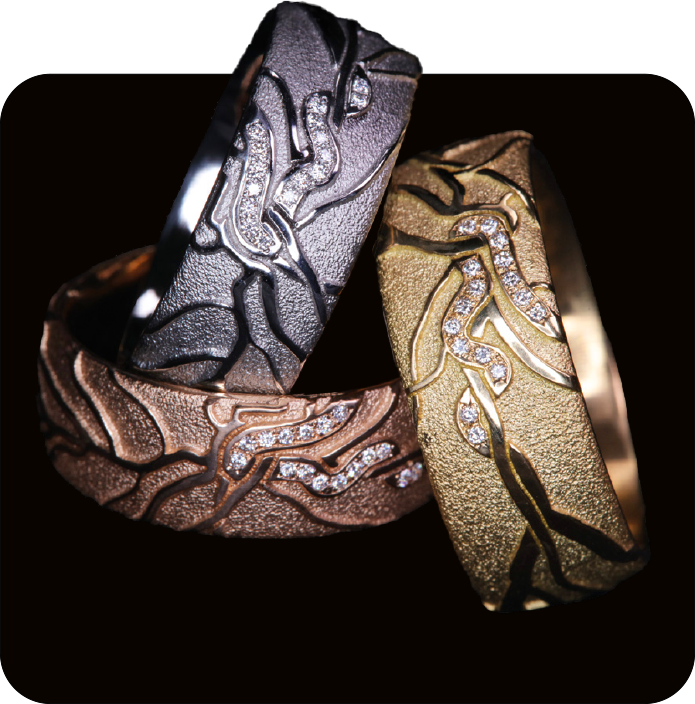 tricolor ringe retina